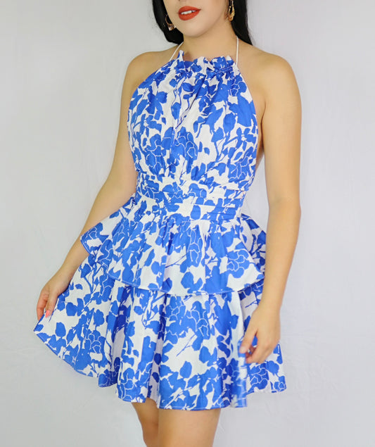 Blooming Blue Dress